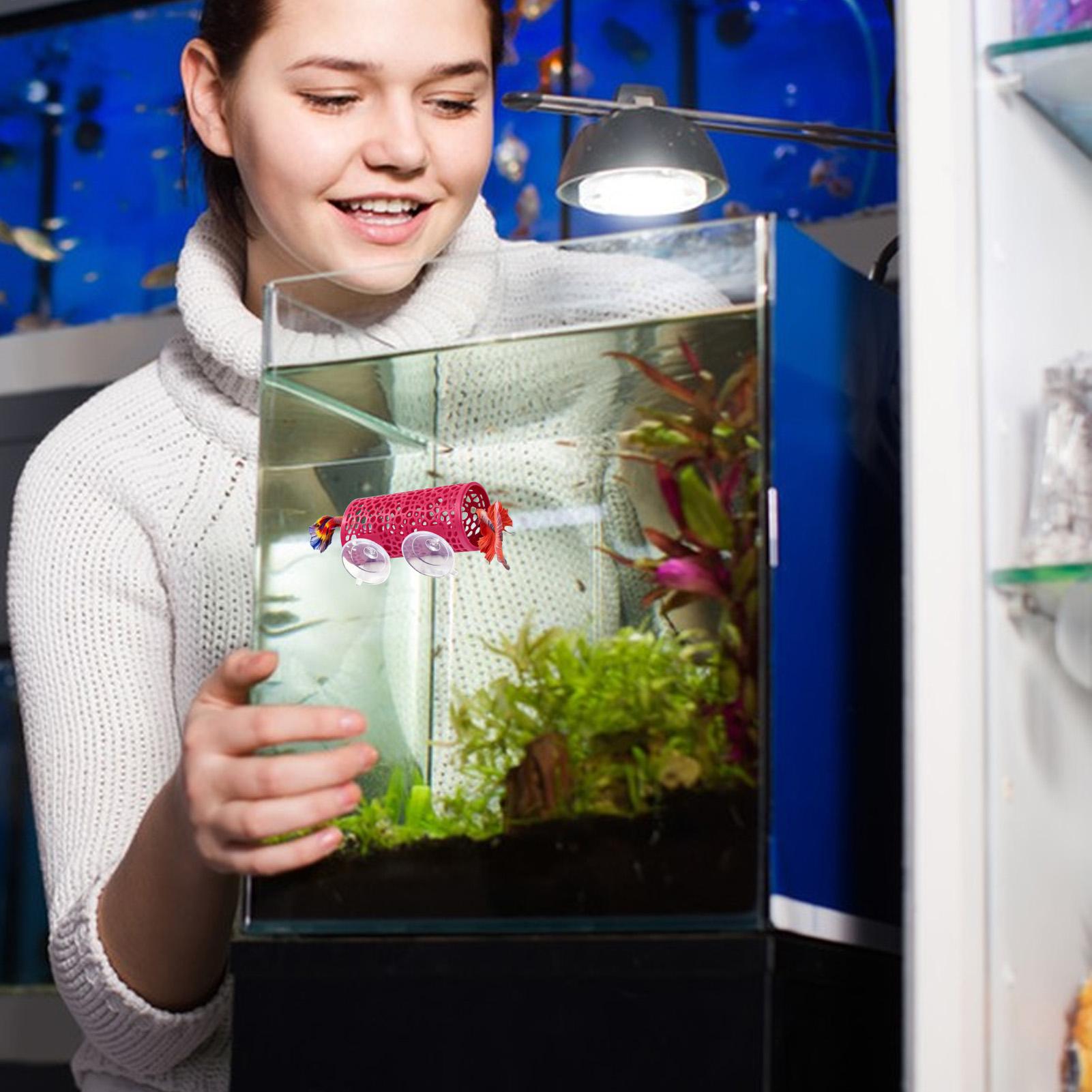 Aquarium Fish Betta - Уютное убежище-туннель для рыбок Betta: безопасный