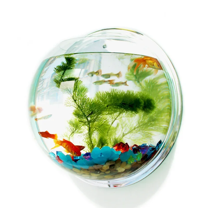 Betta Fish Tank - Настенный аквариум-чаша из акрила Pinsjar для