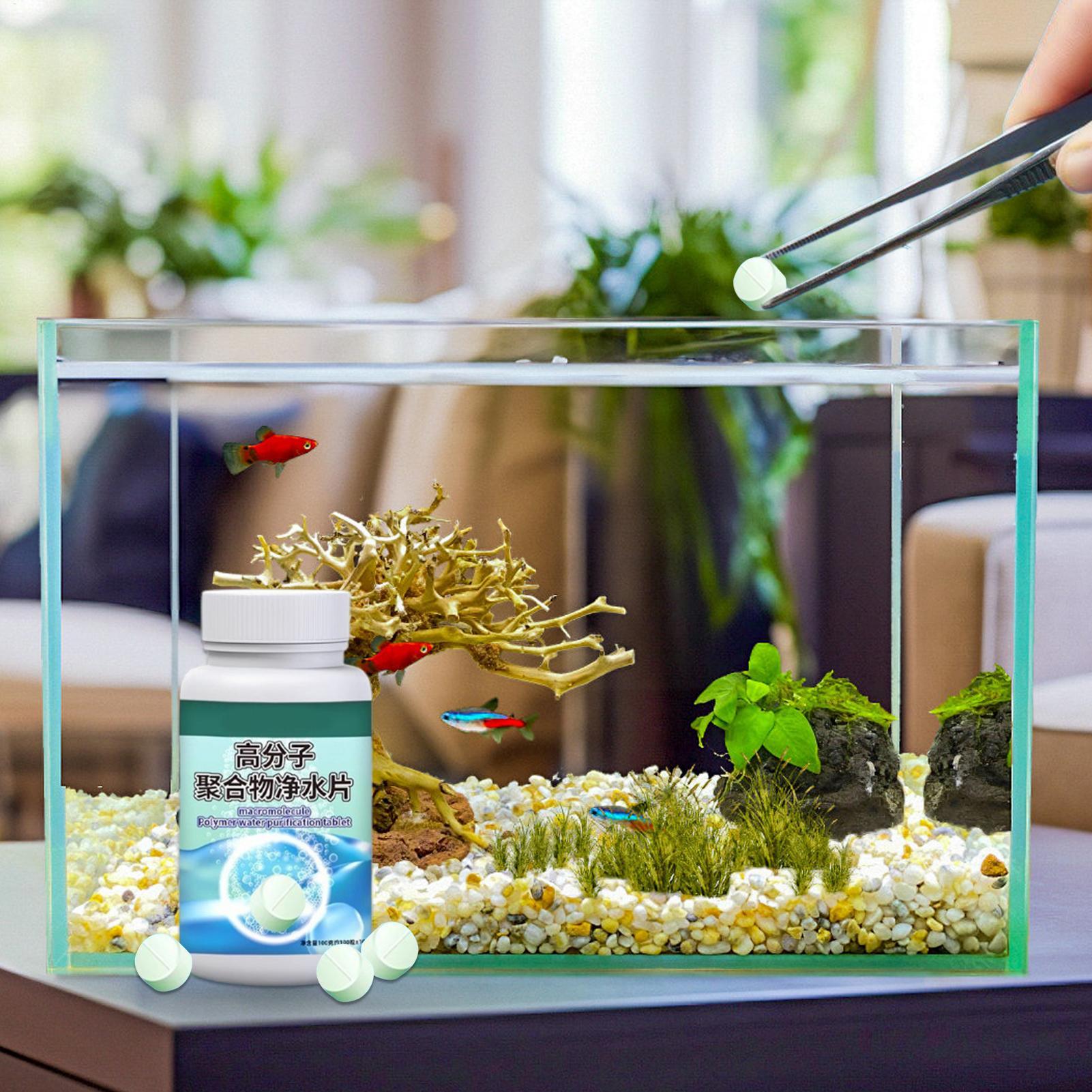 Таблетки для удаления водоросл – обзор и цена Betta Fish Tank