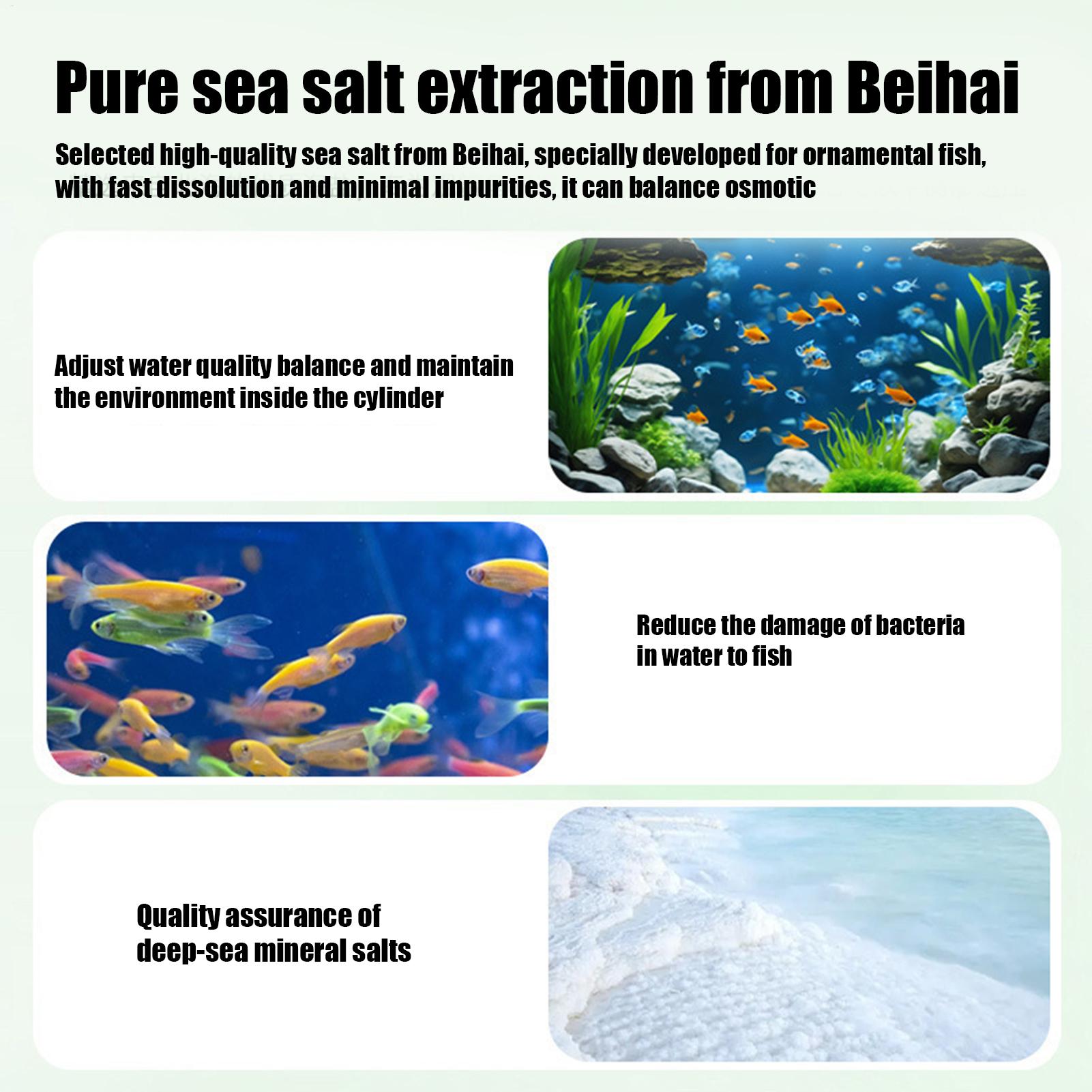 Таблетки для удаления водоросл – обзор и цена Betta Fish Tank