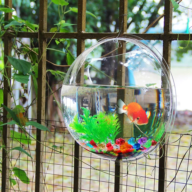Настенный аквариум-чаша из акр – обзор и цена Betta Fish Tank