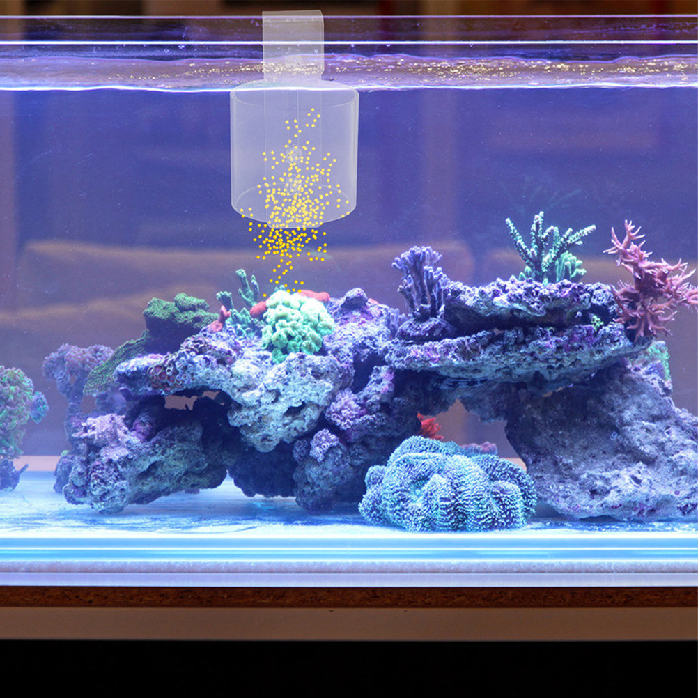 Регулируемое плавающее кольцо  – обзор и цена Aquarium Fish Keeping