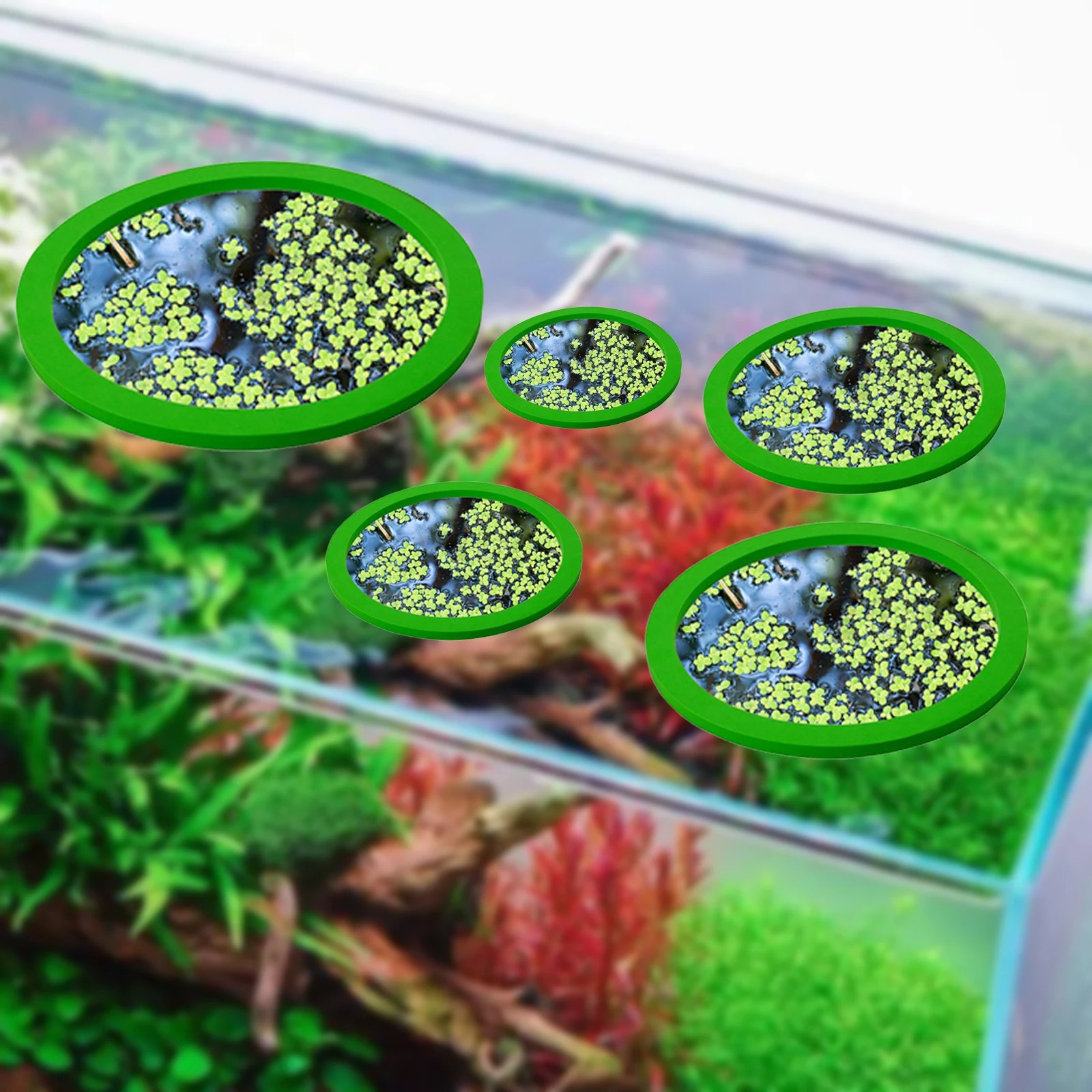 5 шт., кольцо для кормления ры – обзор и цена Fish Aquarium Home