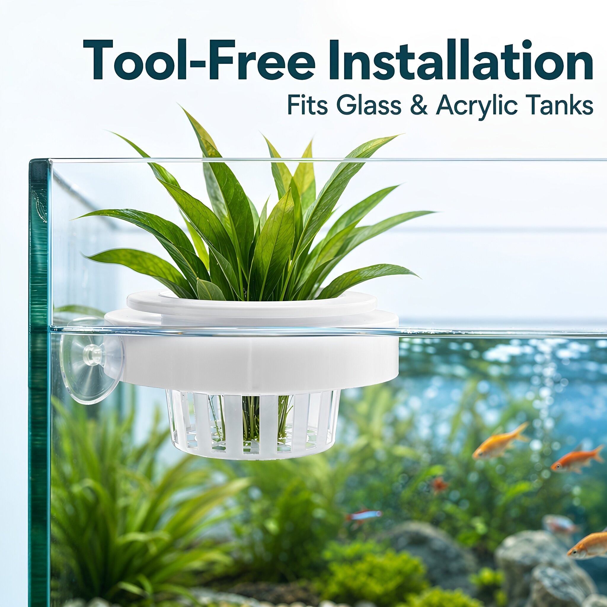 4 шт. плавающих корзин для акв – обзор и цена Aquarium Plants