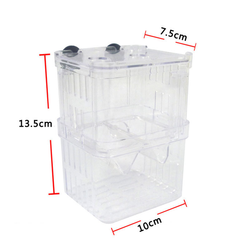 Изолирующая коробка для развед – обзор и цена Betta Fish Tank